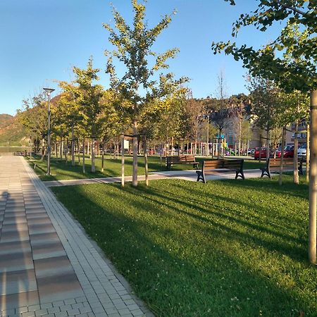 Apartman Sani Donji Milanovac Exteriör bild