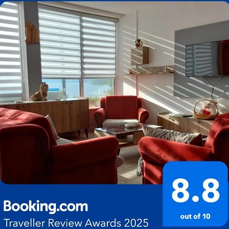 Apartman Sani Donji Milanovac Exteriör bild