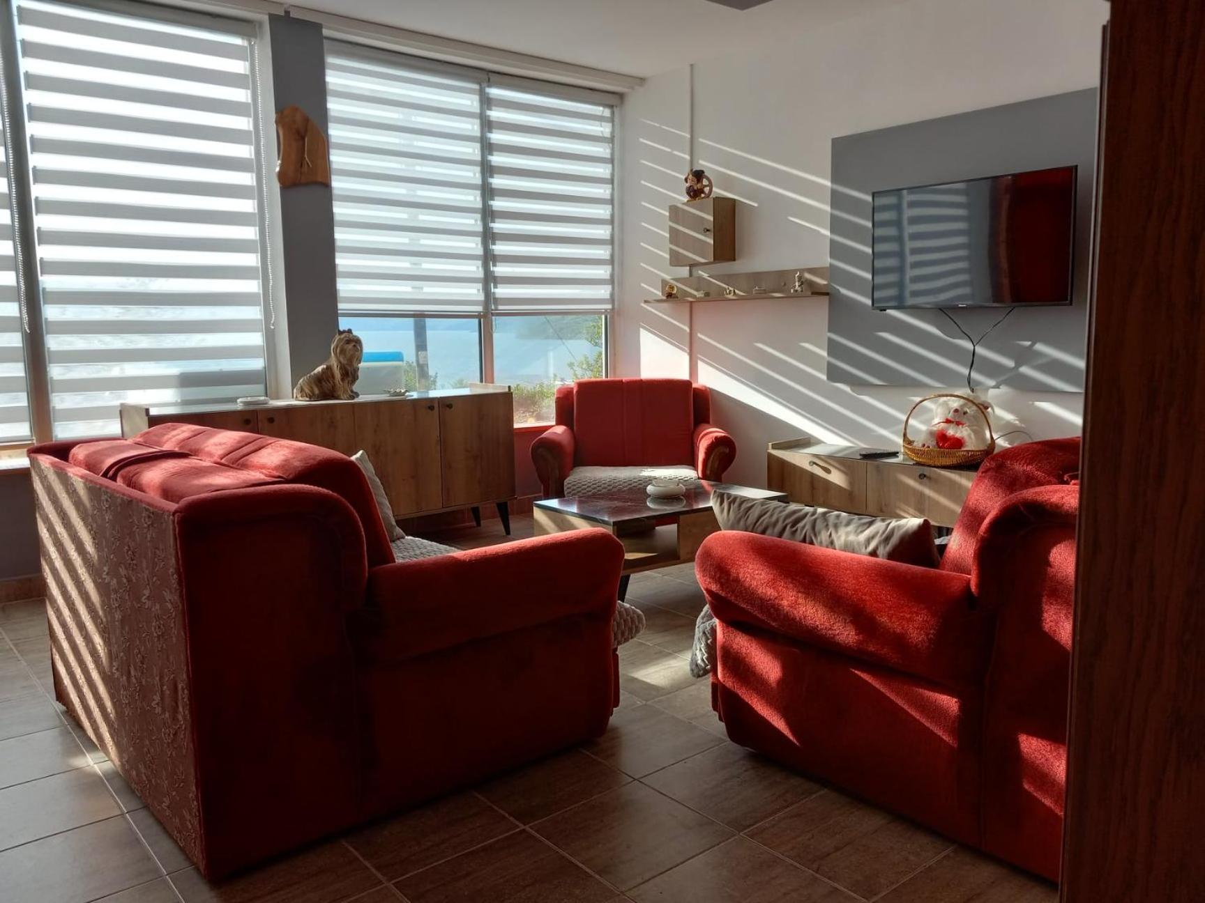 Apartman Sani Donji Milanovac Exteriör bild