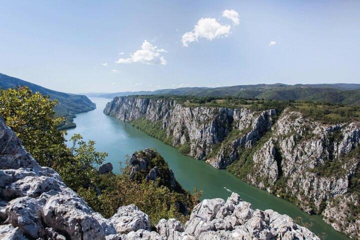 Apartman Sani Donji Milanovac Exteriör bild