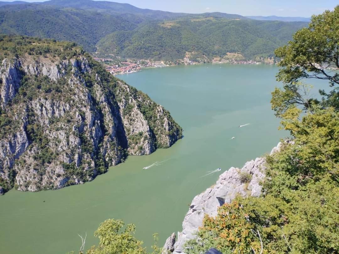 Apartman Sani Donji Milanovac Exteriör bild