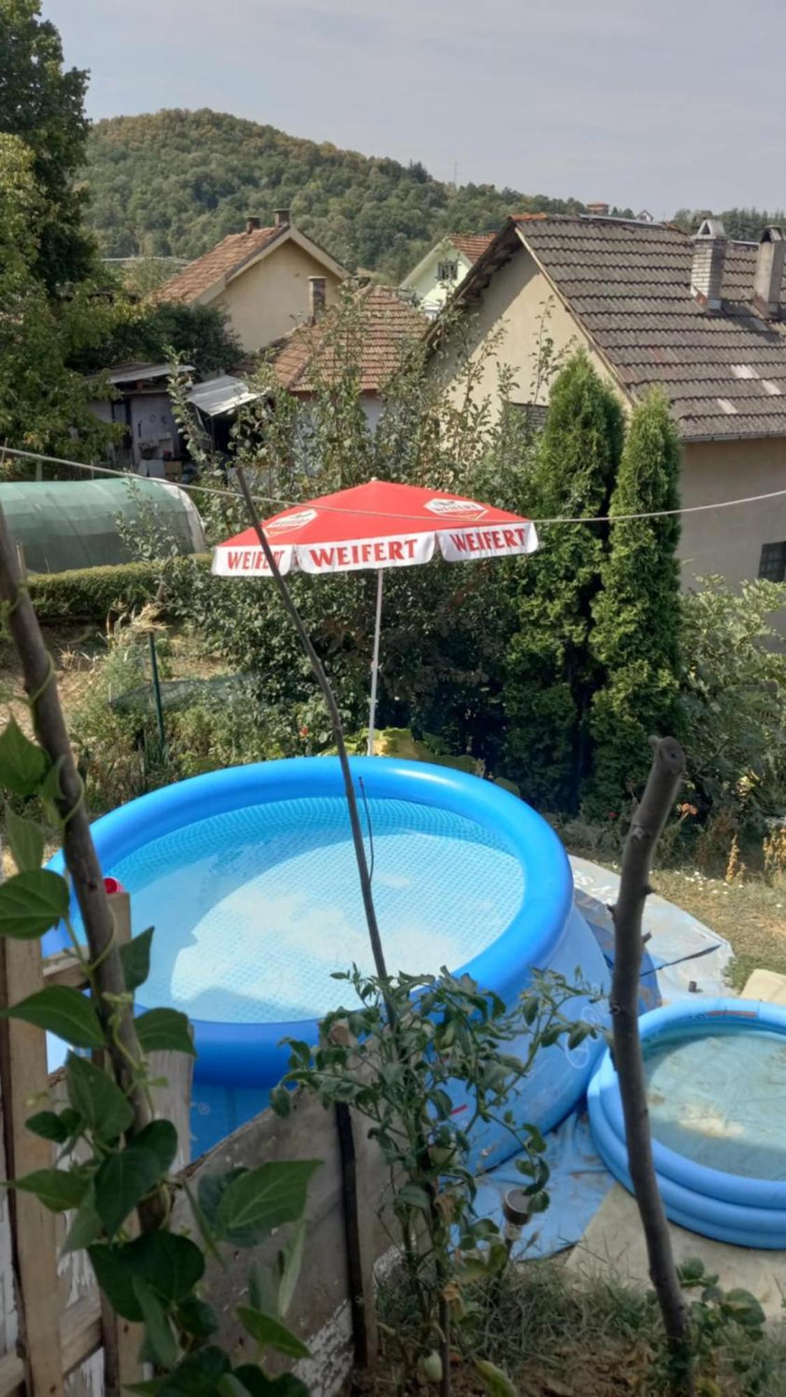 Apartman Sani Donji Milanovac Exteriör bild