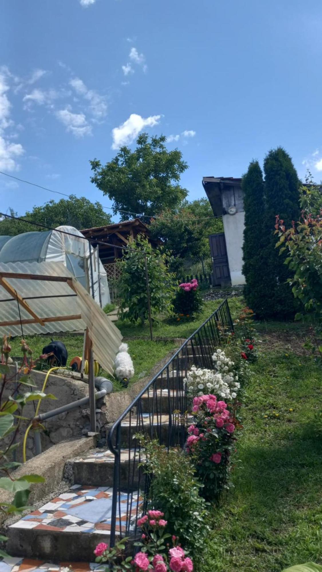 Apartman Sani Donji Milanovac Exteriör bild
